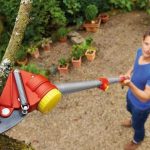 Come e quando tagliare i rami alti